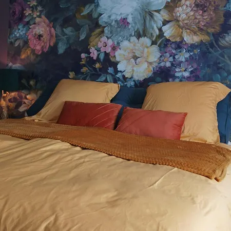 Bed & Breakfast Maison Lasmarenx D'hotes *